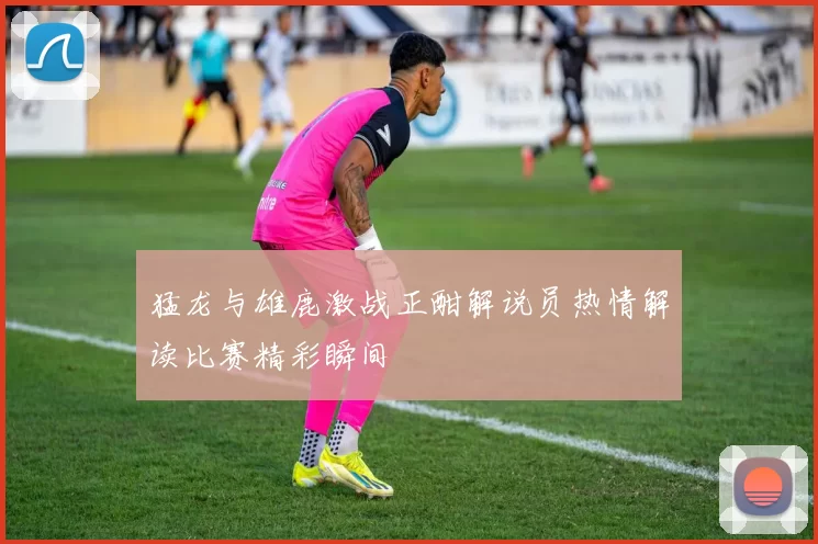 猛龙与雄鹿激战正酣解说员热情解读比赛精彩瞬间