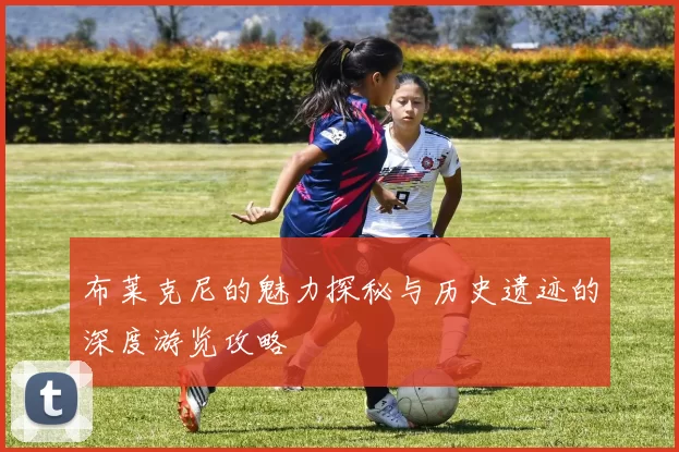 布莱克尼的魅力探秘与历史遗迹的深度游览攻略