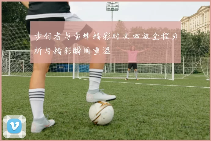 步行者与黄蜂精彩对决回放全程分析与精彩瞬间重温