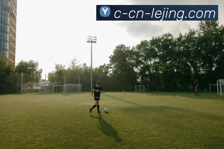 乐竞体育平台生态图